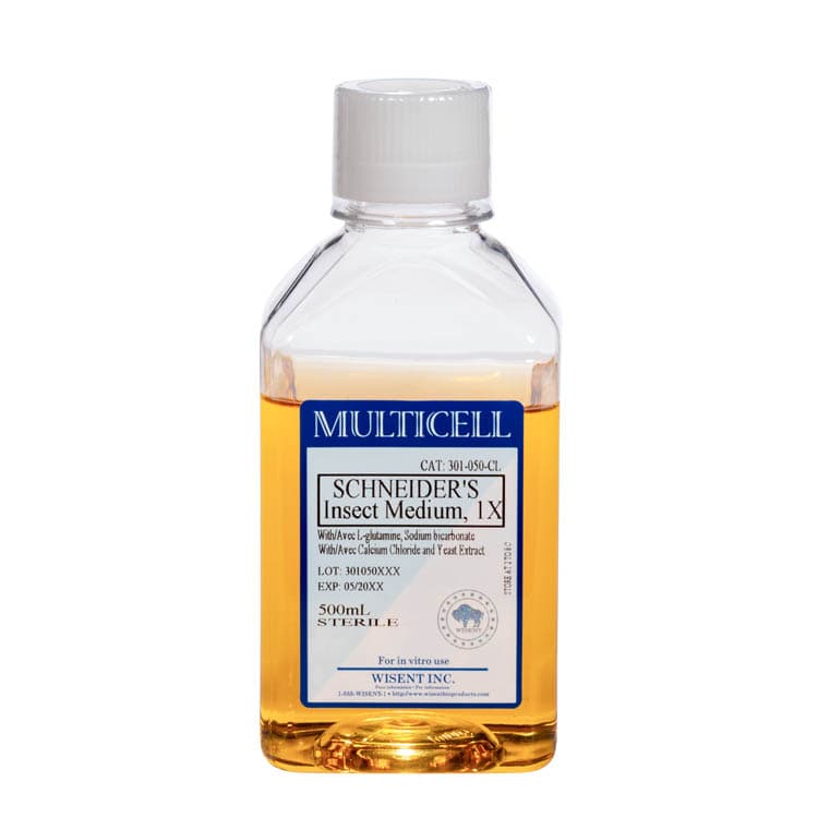 301-050-CL-Schneider’s 1X