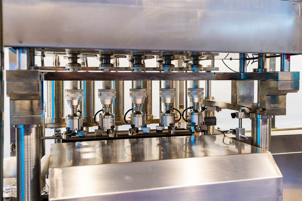 Wisent production line